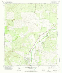 Download a high-resolution, GPS-compatible USGS topo map for Mertzon, TX (1974 edition)
