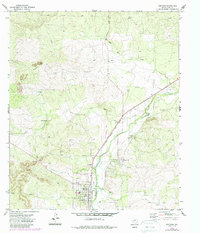 Download a high-resolution, GPS-compatible USGS topo map for Mertzon, TX (1988 edition)