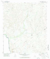 Download a high-resolution, GPS-compatible USGS topo map for Mesquite Spring, TX (1975 edition)
