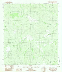 Download a high-resolution, GPS-compatible USGS topo map for Mesteno Creek North, TX (1982 edition)