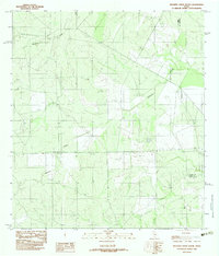 Download a high-resolution, GPS-compatible USGS topo map for Mesteno Creek South, TX (1982 edition)