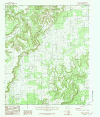 preview thumbnail of historical topo map of Palo Pinto County, TX in 1984