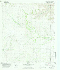 Download a high-resolution, GPS-compatible USGS topo map for Meyers Canyon NE, TX (1980 edition)