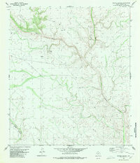 Download a high-resolution, GPS-compatible USGS topo map for Meyers Canyon, TX (1980 edition)