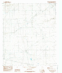 Download a high-resolution, GPS-compatible USGS topo map for Mickey Draw West, TX (1985 edition)