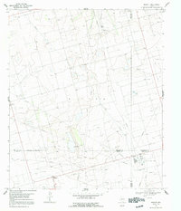 1967 Map of Reagan County, TX, 1991 Print