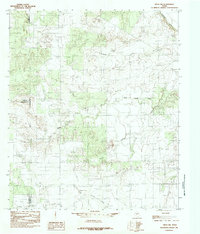 preview thumbnail of historical topo map of Runnels County, TX in 1984