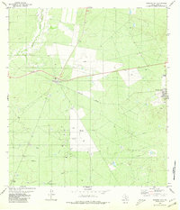 1980 Map of Mirando City, TX