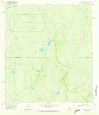 Download a high-resolution, GPS-compatible USGS topo map for Mirasol Creek, TX (1972 edition)