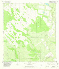 Download a high-resolution, GPS-compatible USGS topo map for Mogotes Hill, TX (1980 edition)