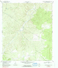 Download a high-resolution, GPS-compatible USGS topo map for Monument Mountain SE, TX (1992 edition)