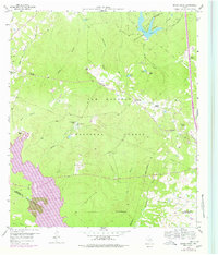 Download a high-resolution, GPS-compatible USGS topo map for Moore Grove, TX (1978 edition)