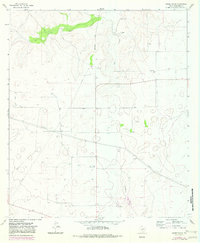 Download a high-resolution, GPS-compatible USGS topo map for Moore Ranch, TX (1982 edition)