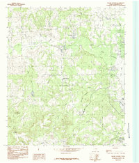 Download a high-resolution, GPS-compatible USGS topo map for Moore Station, TX (1984 edition)