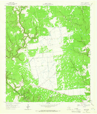 Download a high-resolution, GPS-compatible USGS topo map for Morales, TX (1966 edition)