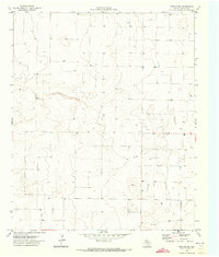Download a high-resolution, GPS-compatible USGS topo map for Morton NW, TX (1973 edition)