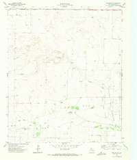 Download a high-resolution, GPS-compatible USGS topo map for Morton SW, TX (1973 edition)