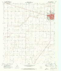 Download a high-resolution, GPS-compatible USGS topo map for Morton, TX (1973 edition)
