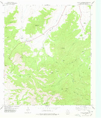 Download a high-resolution, GPS-compatible USGS topo map for Mount Livermore, TX (1978 edition)