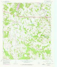 Download a high-resolution, GPS-compatible USGS topo map for Mount Sylvan, TX (1975 edition)