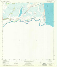 Download a high-resolution, GPS-compatible USGS topo map for Mouth Of Rio Grande, TX (1955 edition)
