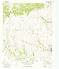 Download a high-resolution, GPS-compatible USGS topo map for Muenster West, TX (1978 edition)