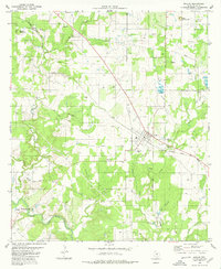 Download a high-resolution, GPS-compatible USGS topo map for Mullin, TX (1980 edition)