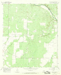Download a high-resolution, GPS-compatible USGS topo map for Mustang Creek, TX (1969 edition)