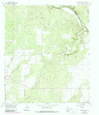 Download a high-resolution, GPS-compatible USGS topo map for Mustang Creek, TX (1987 edition)
