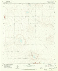 Download a high-resolution, GPS-compatible USGS topo map for Mustang Lake, TX (1973 edition)