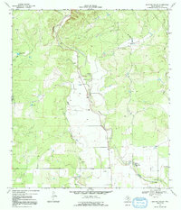 Download a high-resolution, GPS-compatible USGS topo map for Mustang Valley, TX (1992 edition)