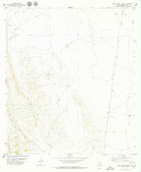Download a high-resolution, GPS-compatible USGS topo map for Nancy Anne Ranch, TX (1979 edition)