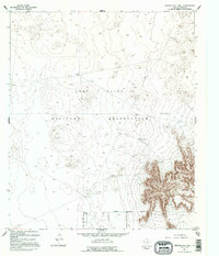 Download a high-resolution, GPS-compatible USGS topo map for Nations East Well, TX (1995 edition)