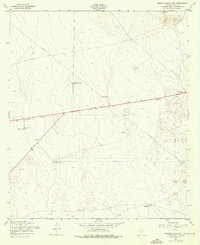 Download a high-resolution, GPS-compatible USGS topo map for Nations South Well, TX (1976 edition)