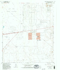 Download a high-resolution, GPS-compatible USGS topo map for Nations South Well, TX (1995 edition)