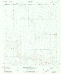 Download a high-resolution, GPS-compatible USGS topo map for Nazareth NW, TX (1981 edition)