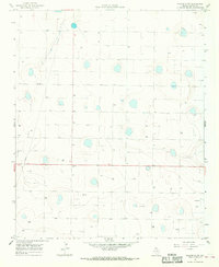 preview thumbnail of historical topo map of Castro County, TX in 1965