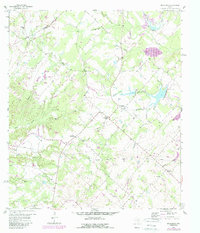 Download a high-resolution, GPS-compatible USGS topo map for Nechanitz, TX (1989 edition)