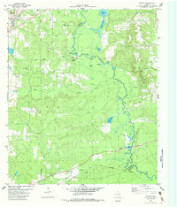 Download a high-resolution, GPS-compatible USGS topo map for Neches, TX (1982 edition)