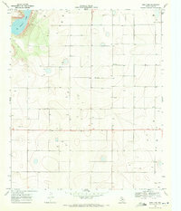 Download a high-resolution, GPS-compatible USGS topo map for New Lynn, TX (1971 edition)