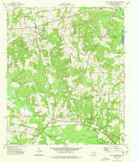 Download a high-resolution, GPS-compatible USGS topo map for New Summerfield, TX (1976 edition)