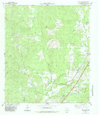 preview thumbnail of historical topo map of Polk County, TX in 1984