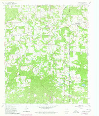 Download a high-resolution, GPS-compatible USGS topo map for Newsome, TX (1980 edition)