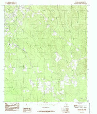 Download a high-resolution, GPS-compatible USGS topo map for Newton East, TX (1985 edition)