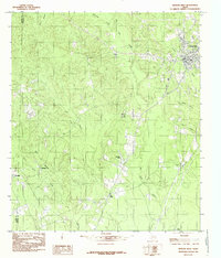 preview thumbnail of historical topo map of Newton County, TX in 1984