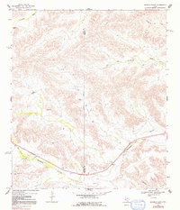 Download a high-resolution, GPS-compatible USGS topo map for Ninemile Ranch, TX (1992 edition)