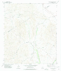 Download a high-resolution, GPS-compatible USGS topo map for Ninetysix Ranch, TX (1975 edition)