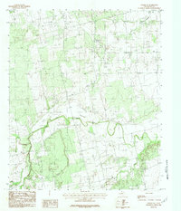 Download a high-resolution, GPS-compatible USGS topo map for Noodle NE, TX (1984 edition)