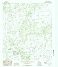 Download a high-resolution, GPS-compatible USGS topo map for Noodle, TX (1984 edition)