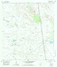 Download a high-resolution, GPS-compatible USGS topo map for Norias, TX (1984 edition)